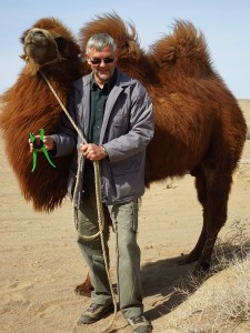 Camel tagging